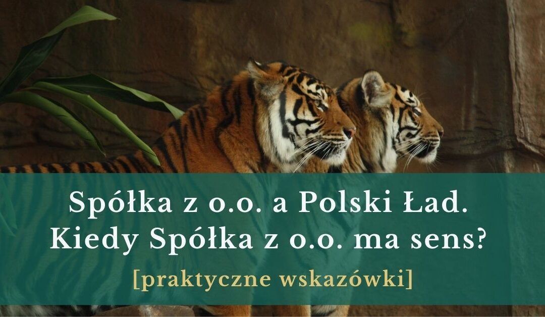 Spółka z o.o. a Polski Ład. Kiedy Spółka z o.o. ma sens?