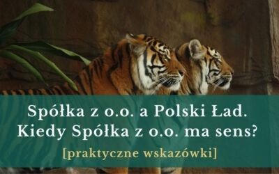 Spółka z o.o. a Polski Ład. Kiedy Spółka z o.o. ma sens?